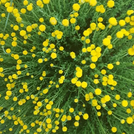 Terapeutica En Un Paraje Natural * Enguera