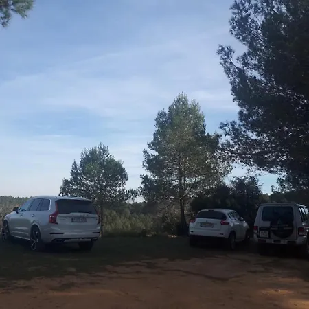 Terapeutica En Un Paraje Natural
