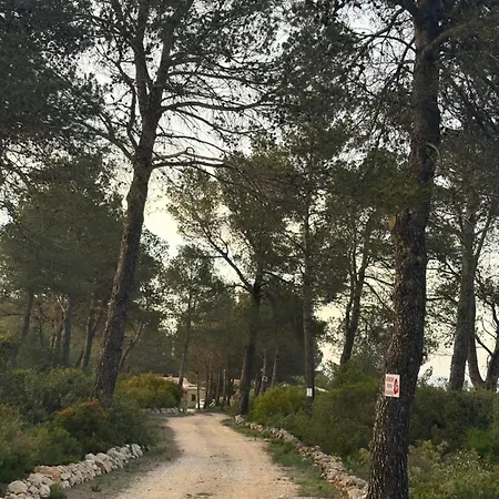 Terapeutica En Un Paraje Natural *