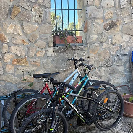 Terapeutica En Un Paraje Natural * Enguera